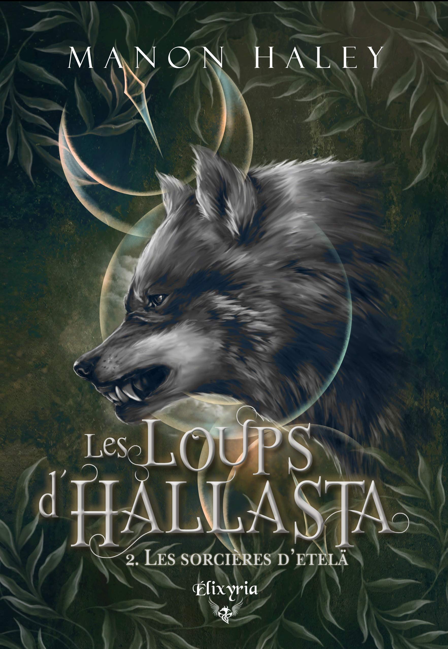 Les loups d'Hallasta 2: Les sorcières d'Etelä Contemporary literature