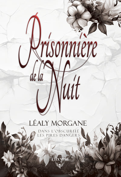 Product Image: Prisonnière de la nuit