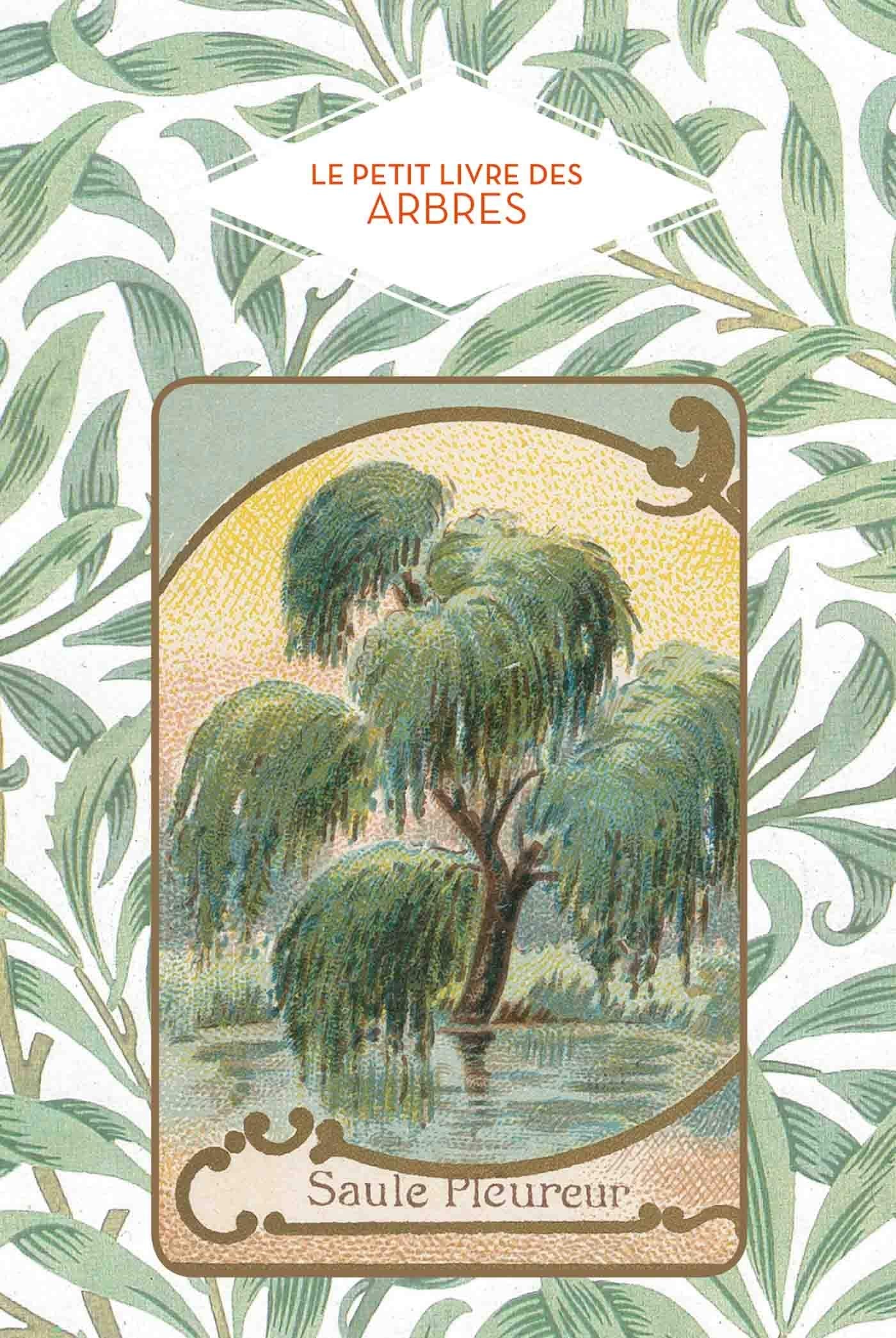 Le petit livre des arbres Tiptoi & Games