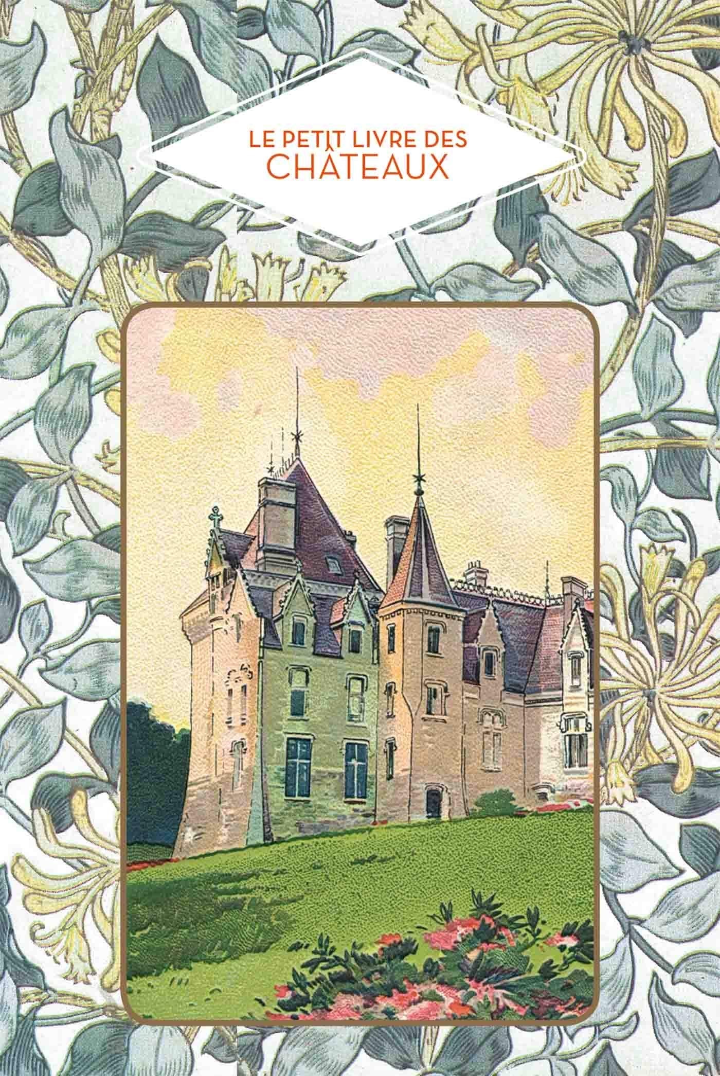 Le petit livre des châteaux book