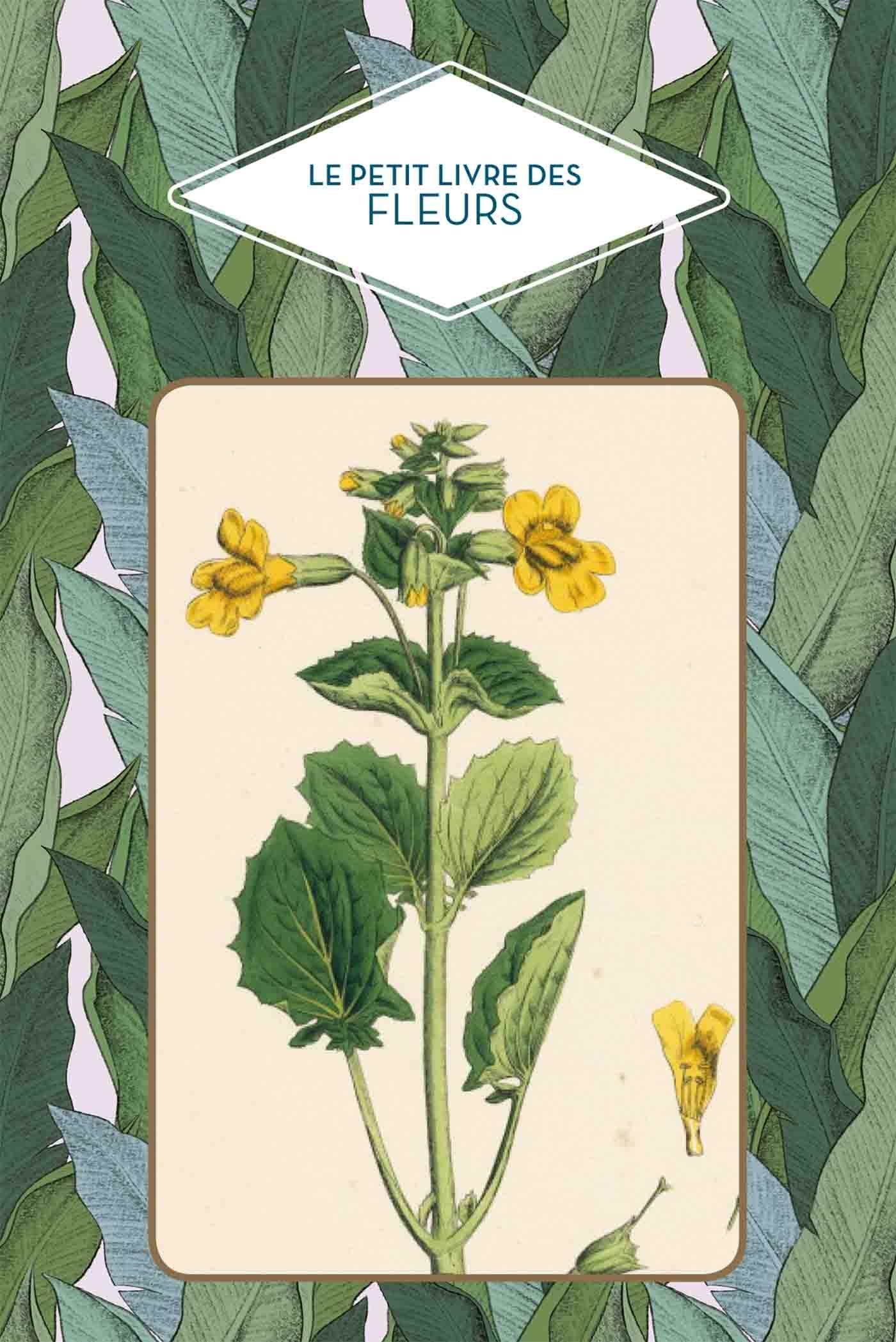 LE PETIT LIVRE DES FLEURS book
