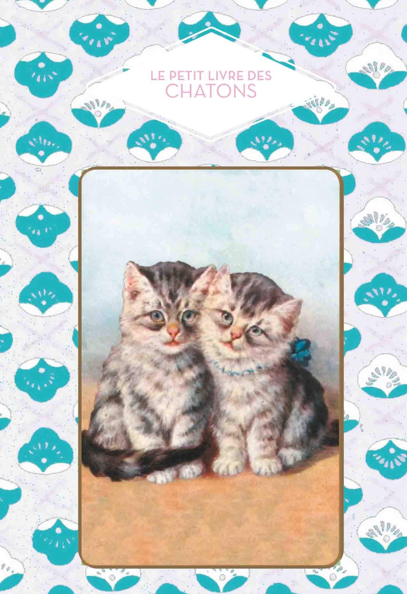 Le petit livre des chatons book