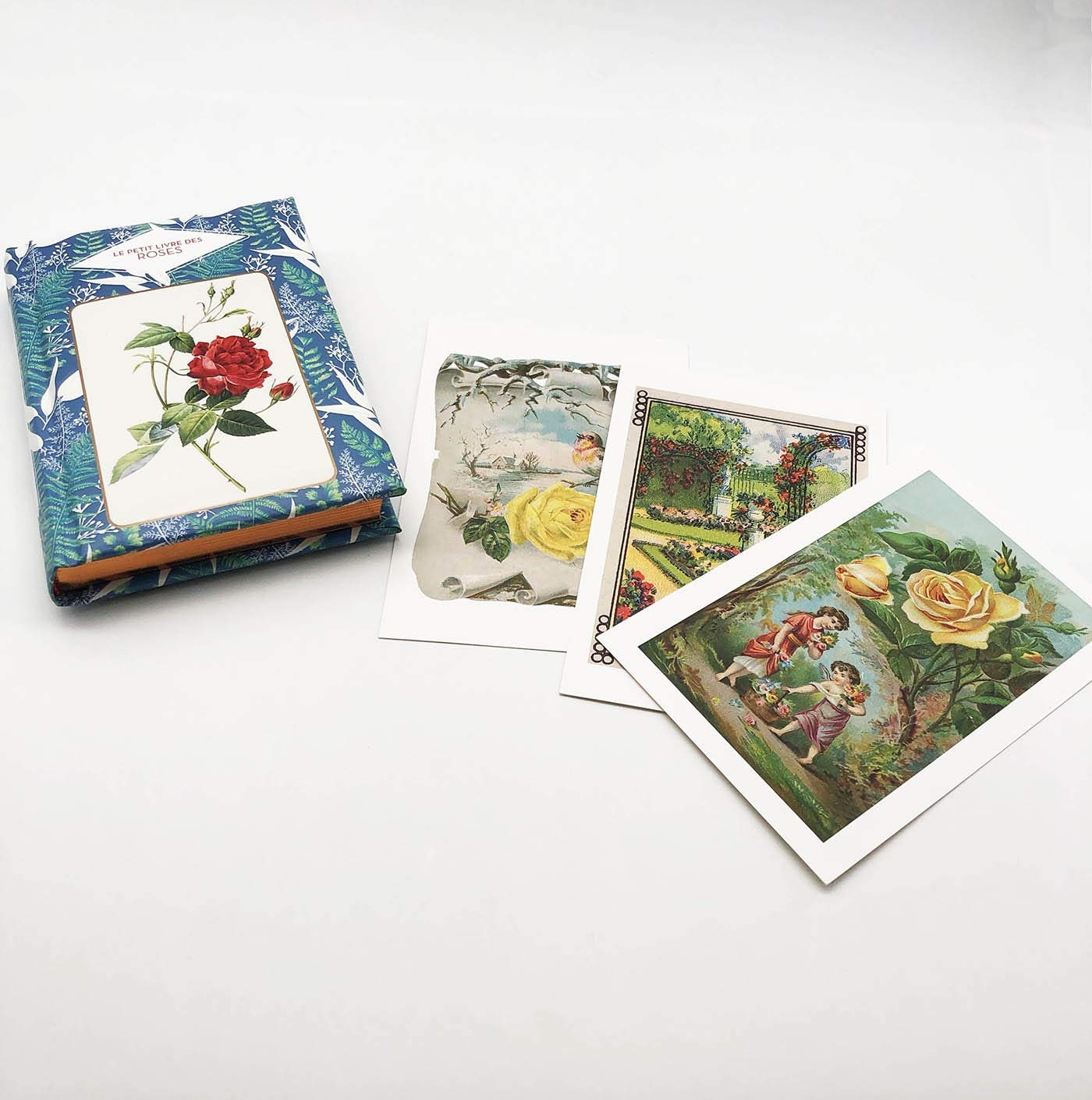 Le Petit Livre des Roses + Cartes Postales: Avec 10 cartes postales offertes Tiptoi & Games