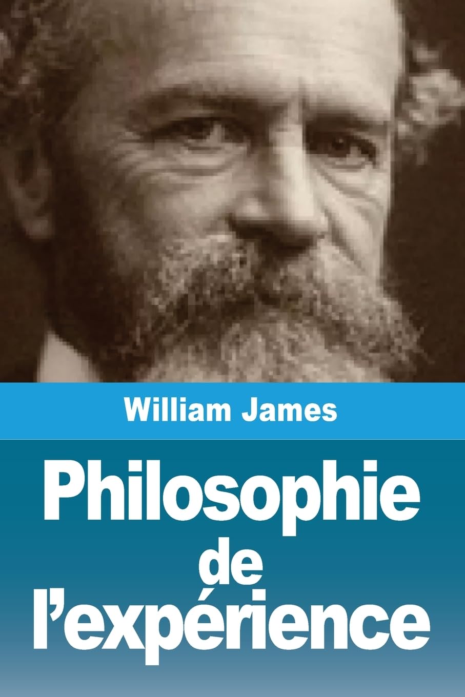 Product Image: Philosophie de l'expérience