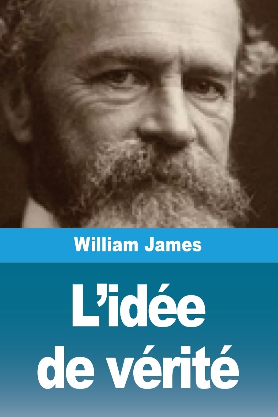 L'idée de vérité Philosophy