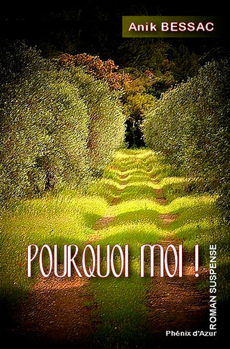 Product Image: Pourquoi moi !