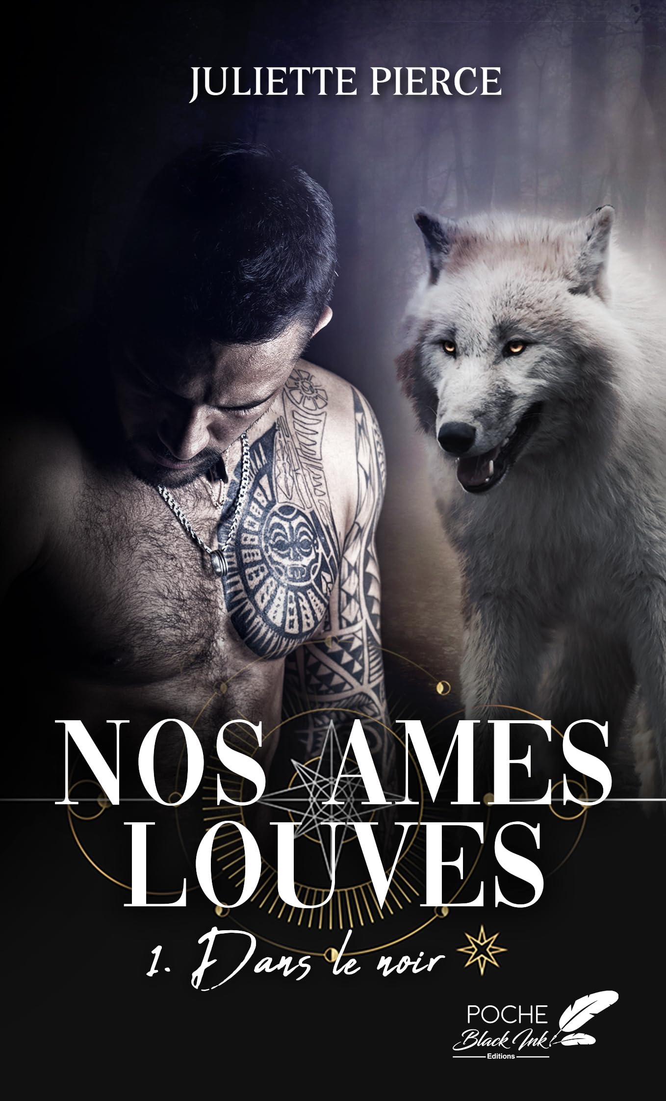 NOS AMES LOUVES : TOME 1 - DANS LE NOIR Contemporary literature