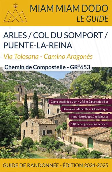 Voie d'Arles, GR 653 : via Tolosana, camino aragonés : chemin de Compostelle, guide de randonnée Leisure, Home & Garden