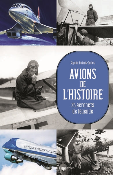 Avions de l'histoire : 25 aéronefs de légende Politics & History