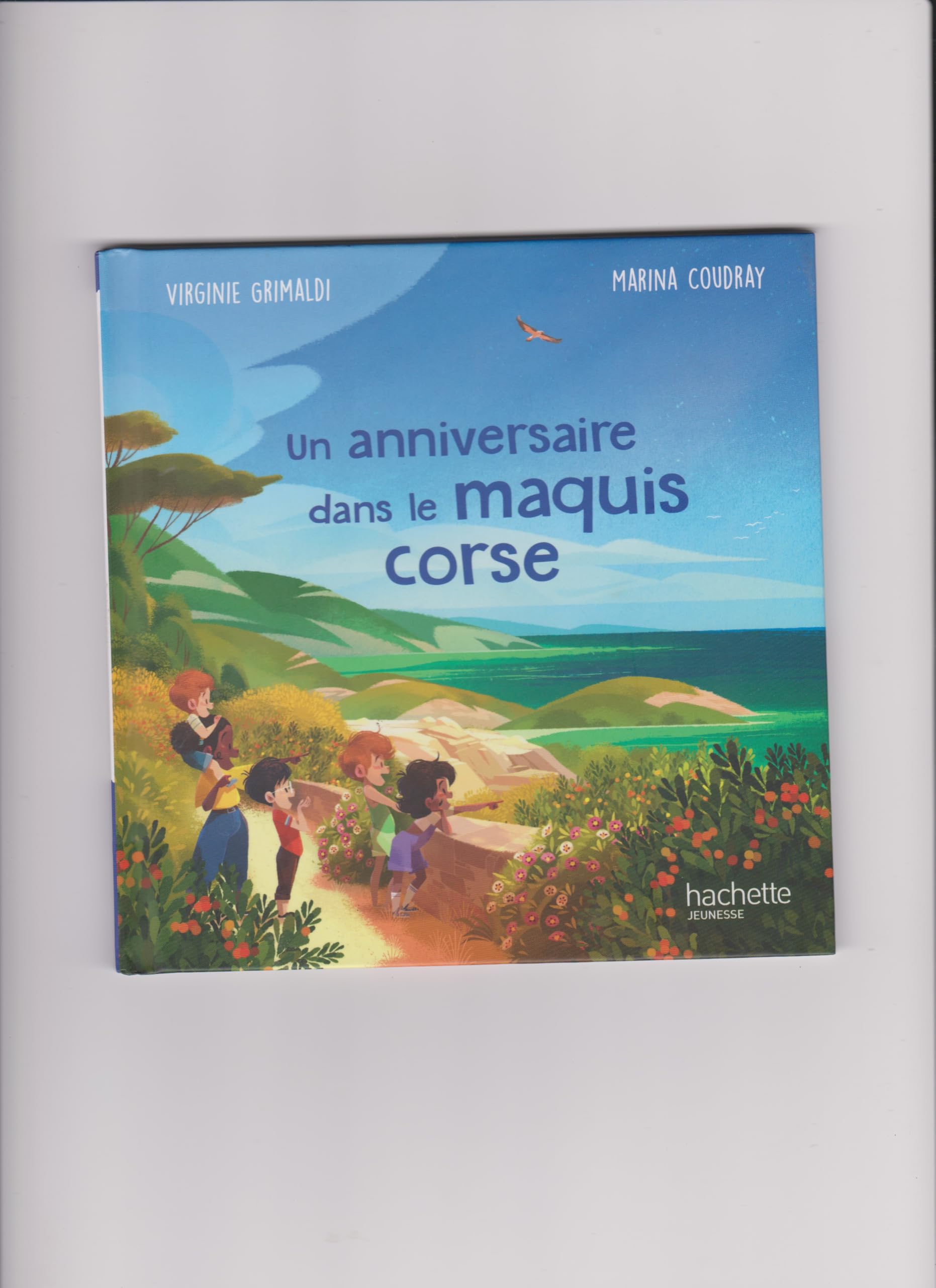 Un anniversaire dans le maquis corse book