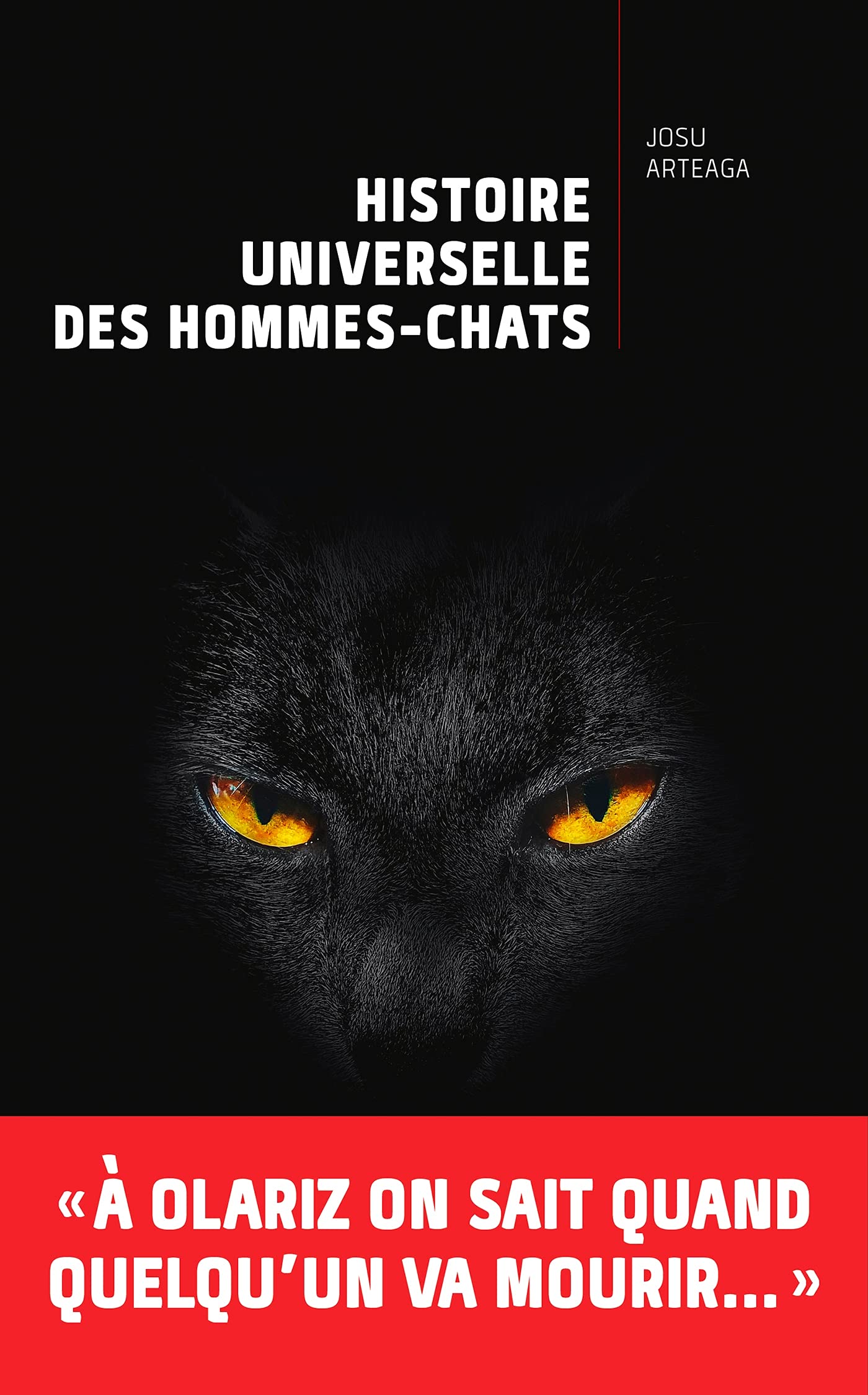 Histoire universelle des hommes-chats Contemporary literature