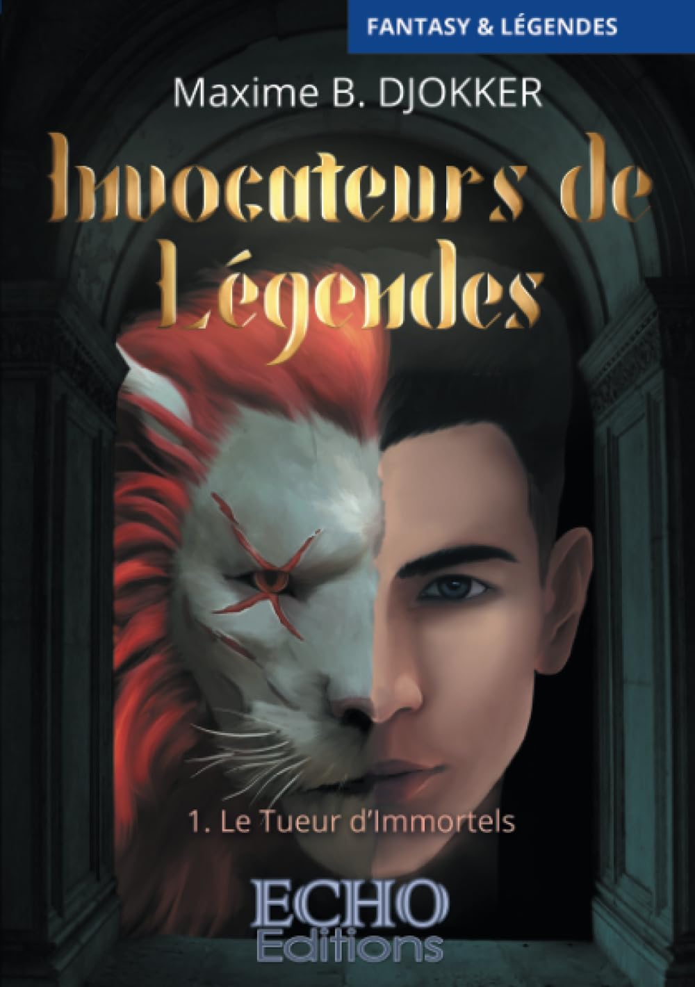 Invocateurs de Légendes - Le Tueur d'Immortels Contemporary literature