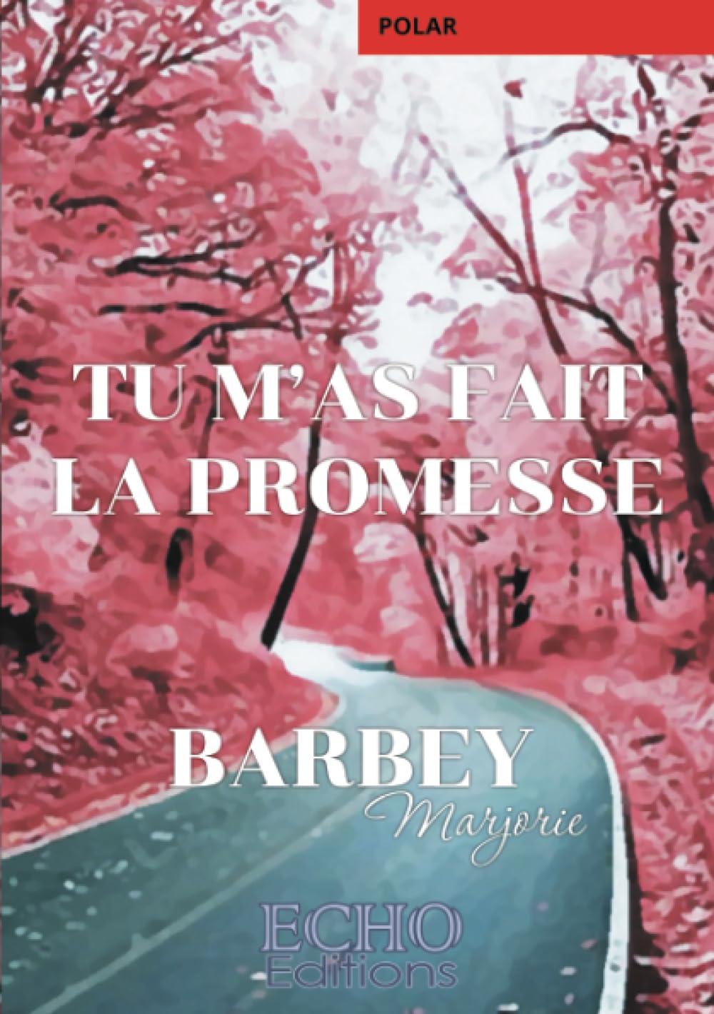 Tu m'as fait la promesse Contemporary literature