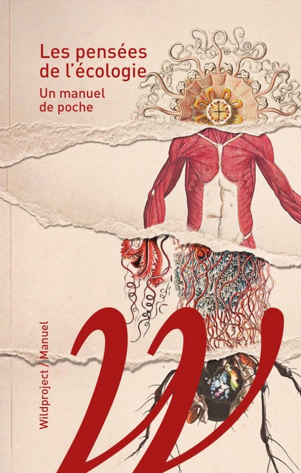 Les pensées de l'écologie: Un manuel de poche Non-fiction books