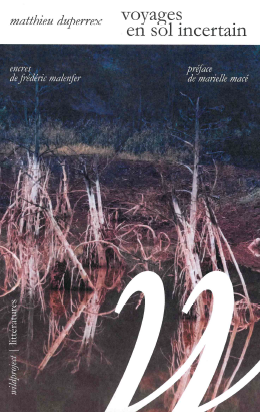 Voyages en sol incertain : enquête dans les deltas du Rhône et du Mississippi book