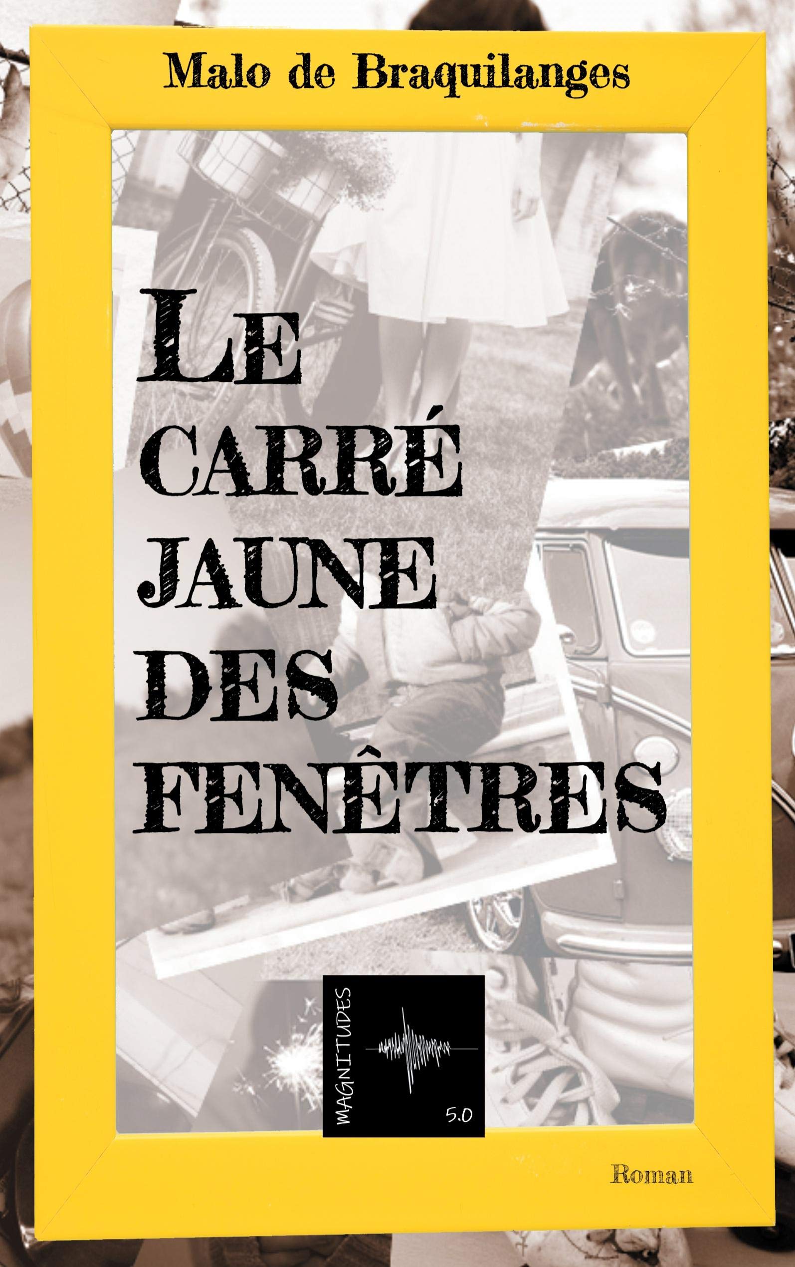Le carré jaune des fenêtres book