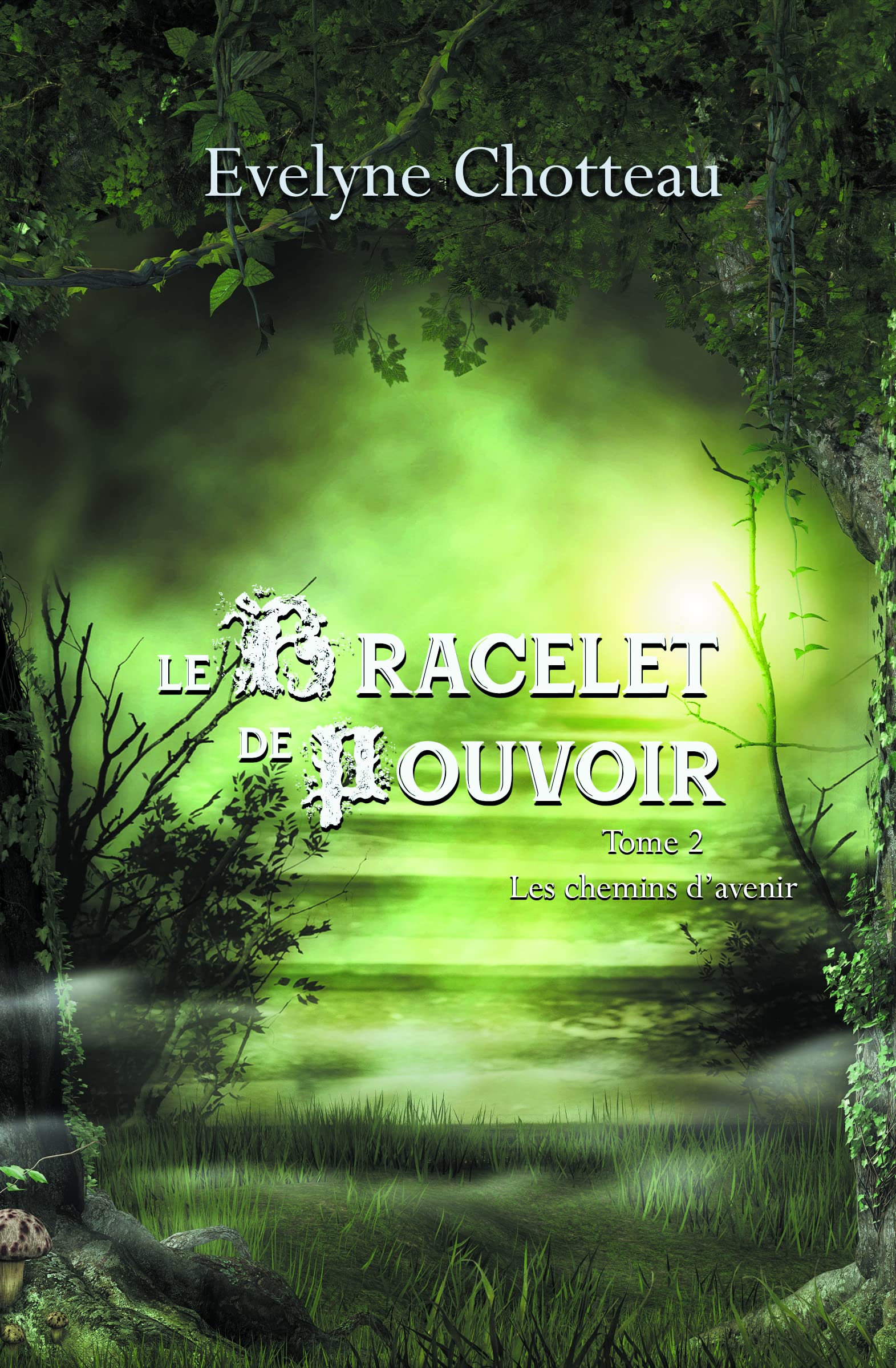Les chemins d'avenir book