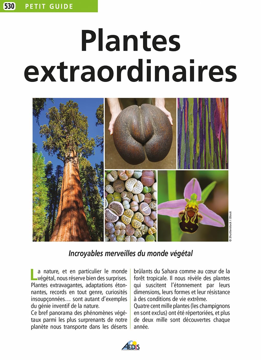 Plantes extraordinaires Books