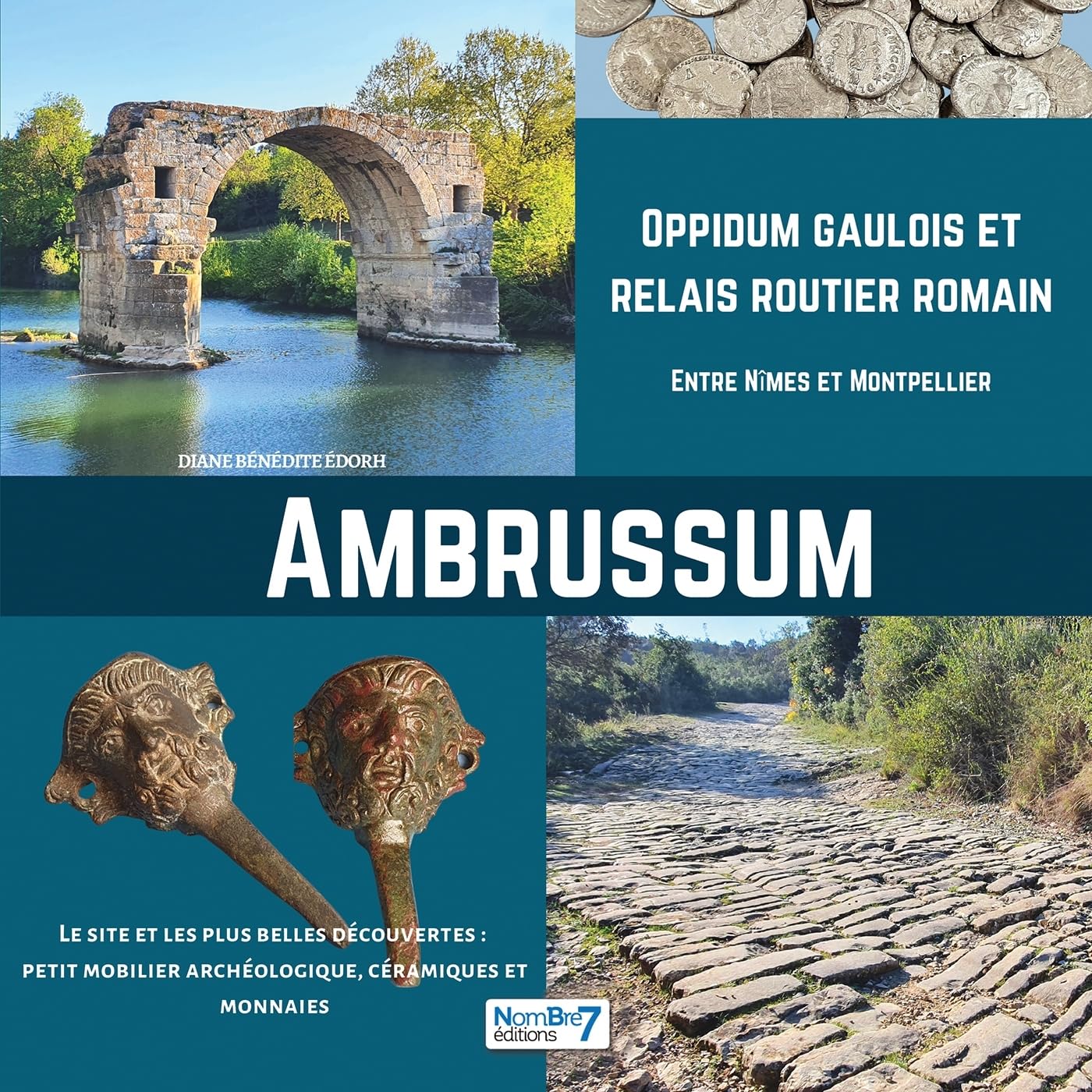 Ambrussum, oppidum gaulois et relais routier romain book