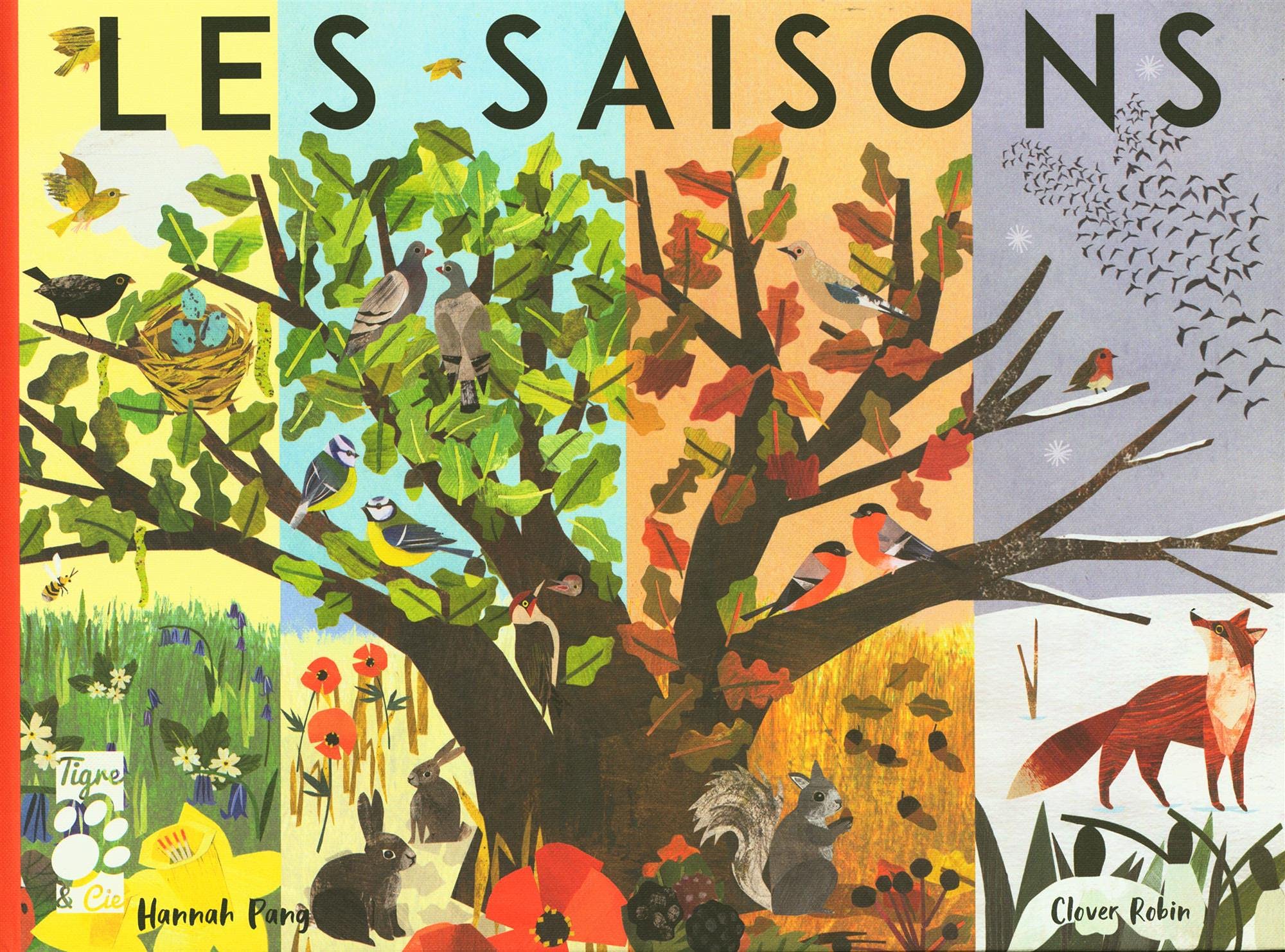 Les saisons: Une année dans la nature Children's books