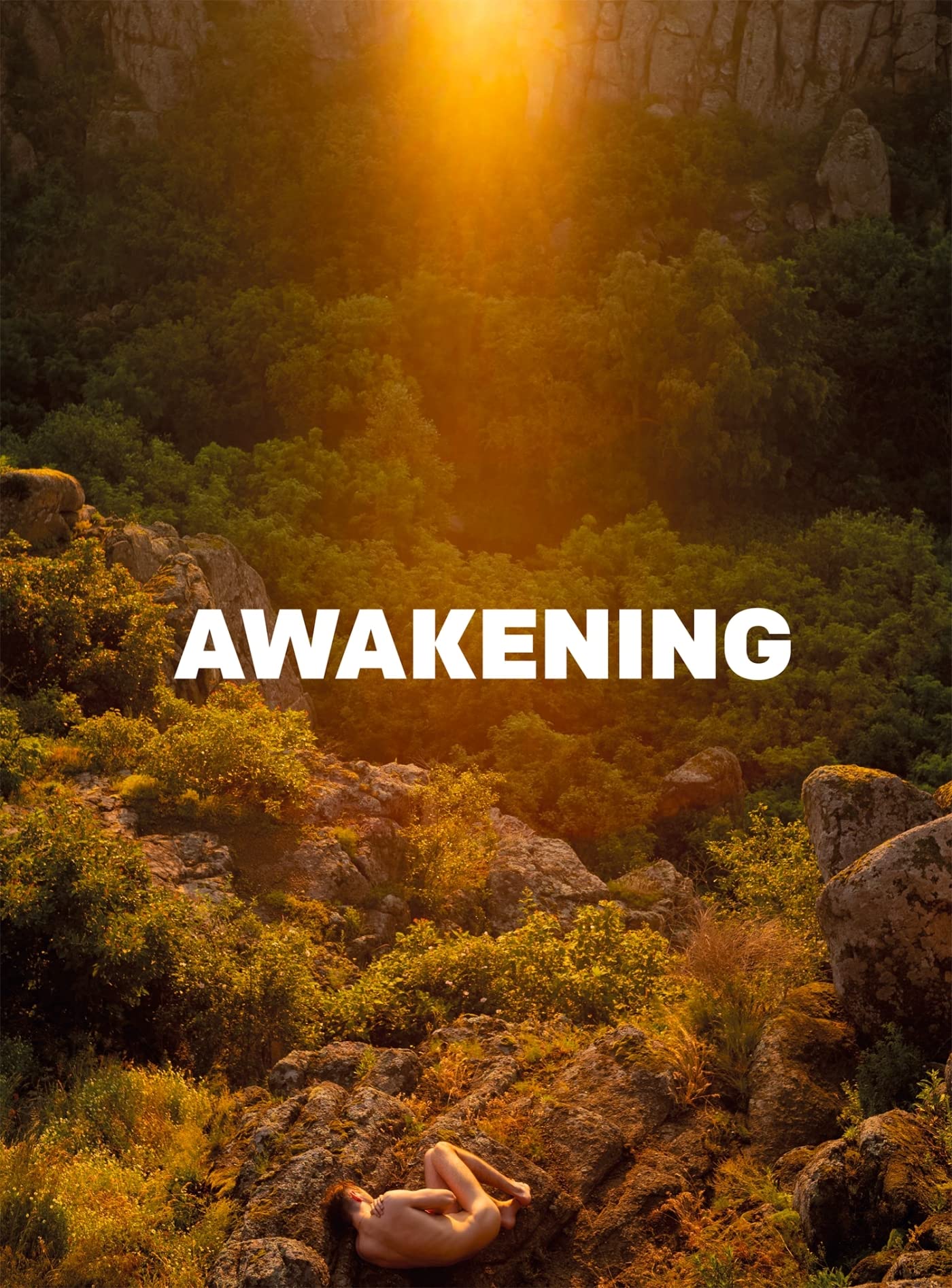 AWAKENING: L'ÉVEIL DE LA NATURE ET DU CORPS book