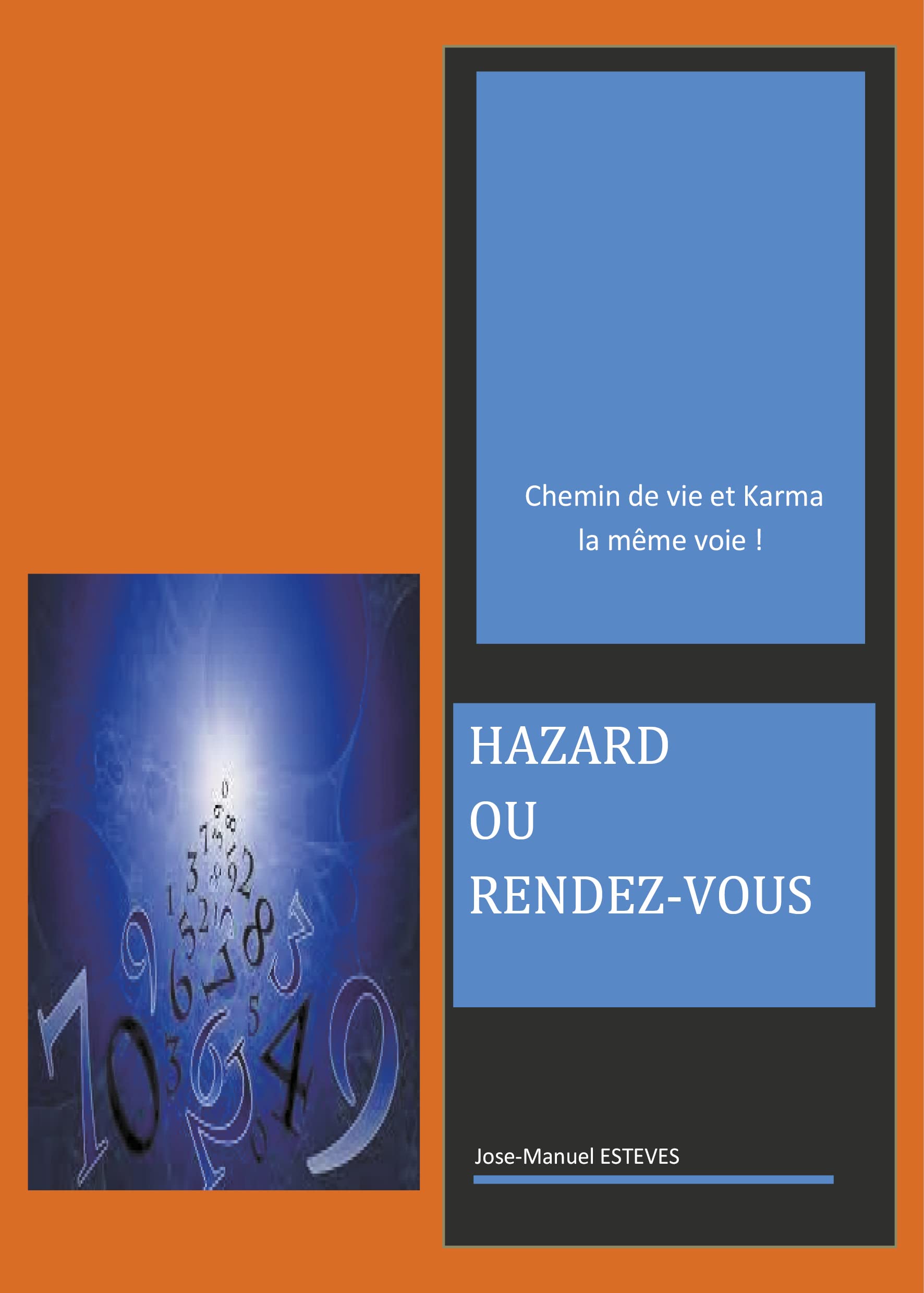 Hazard ou rendez-vous: Chemin de vie et Karma la même voie ! book