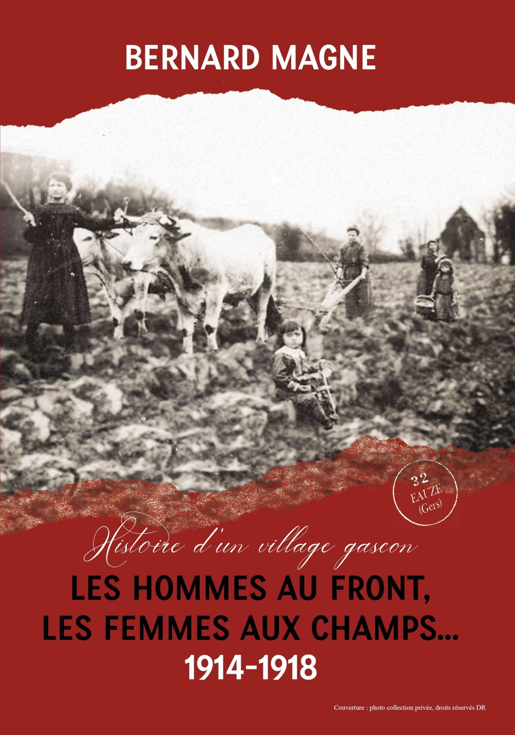 Les hommes au front Les femmes aux champs 1914-1918: Histoire d'un village gascon book