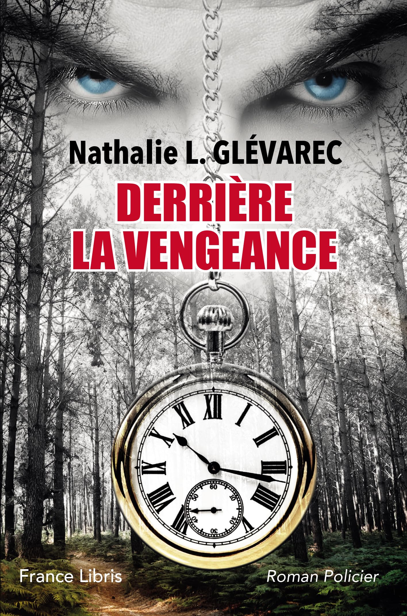 DERRIÈRE LA VENGEANCE book