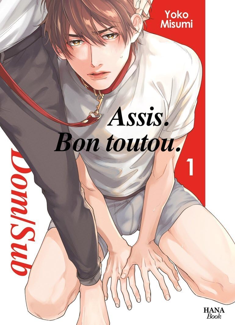 Assis. Bon toutou - Tome 01 book
