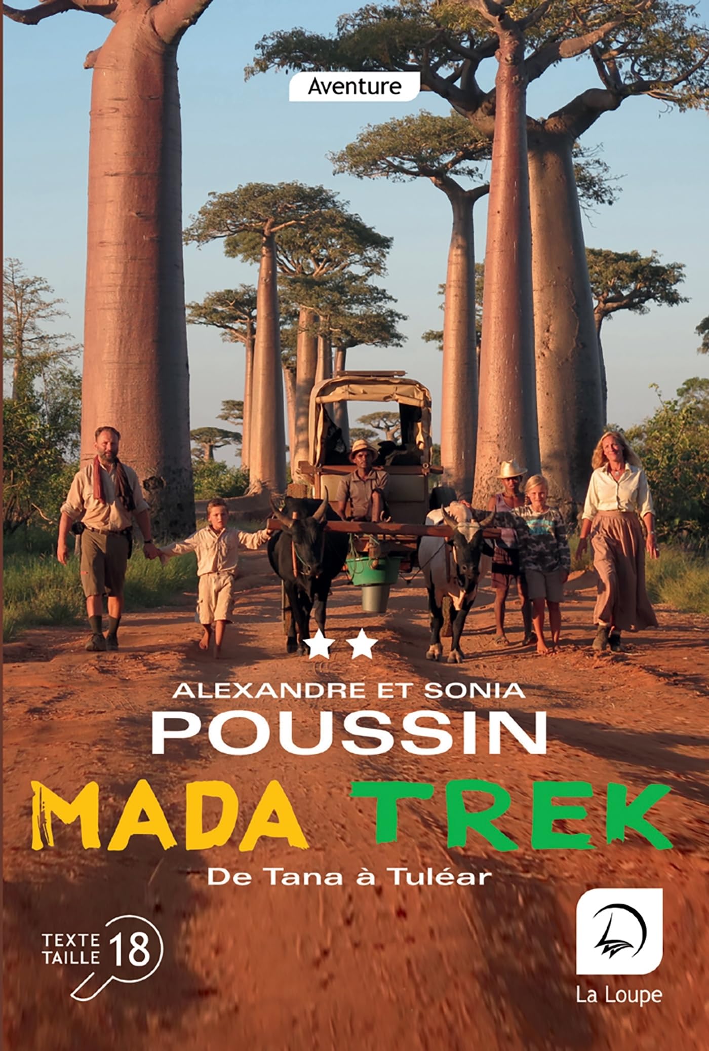 Mada trek (Vol 2): De Tana à Tuléar Volume 2 Essays & Short Stories