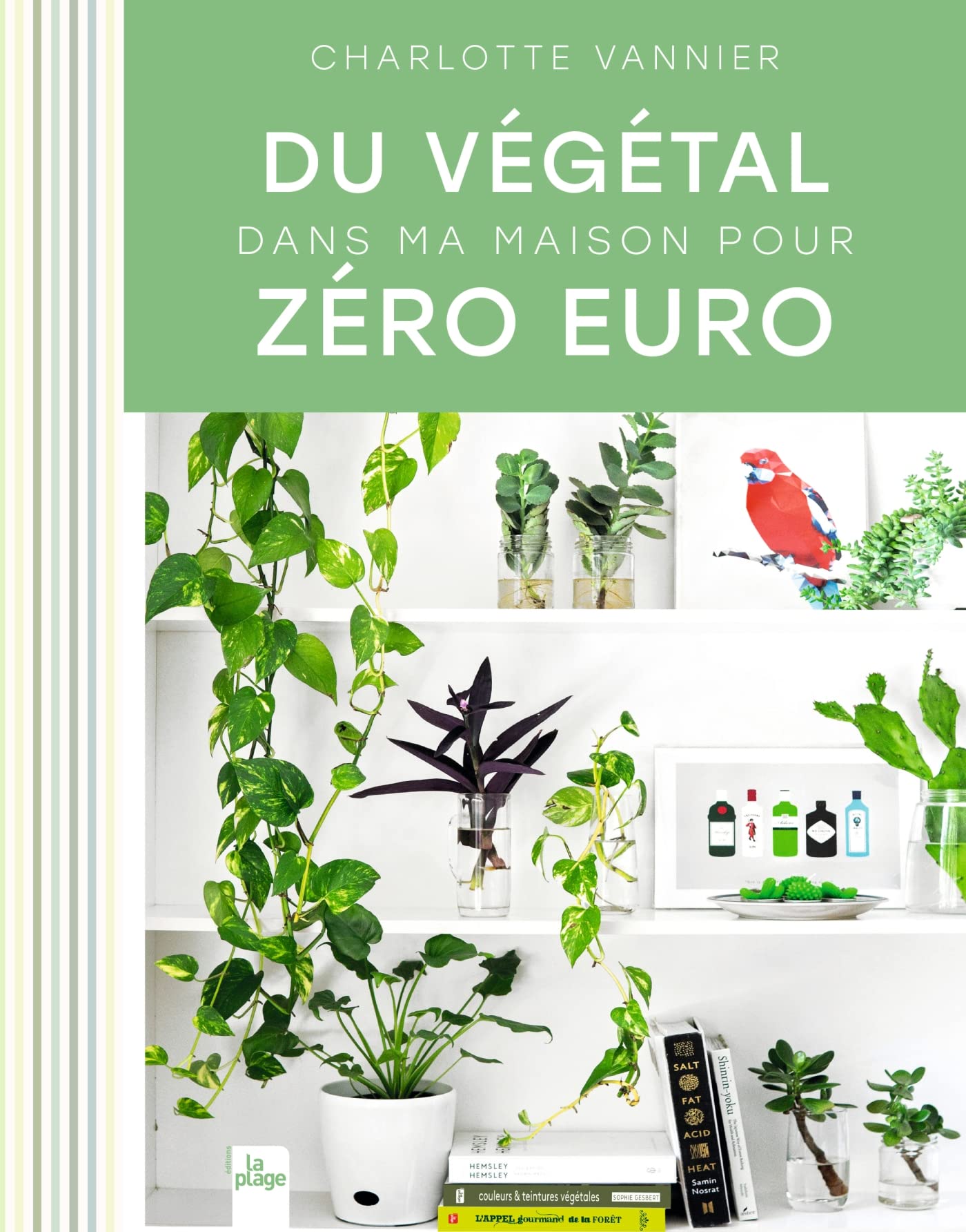 Du végétal dans ma maison pour zéro euro book