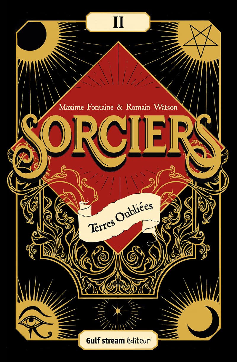 Sorciers - Tome 2 Terres oubliées (2) book