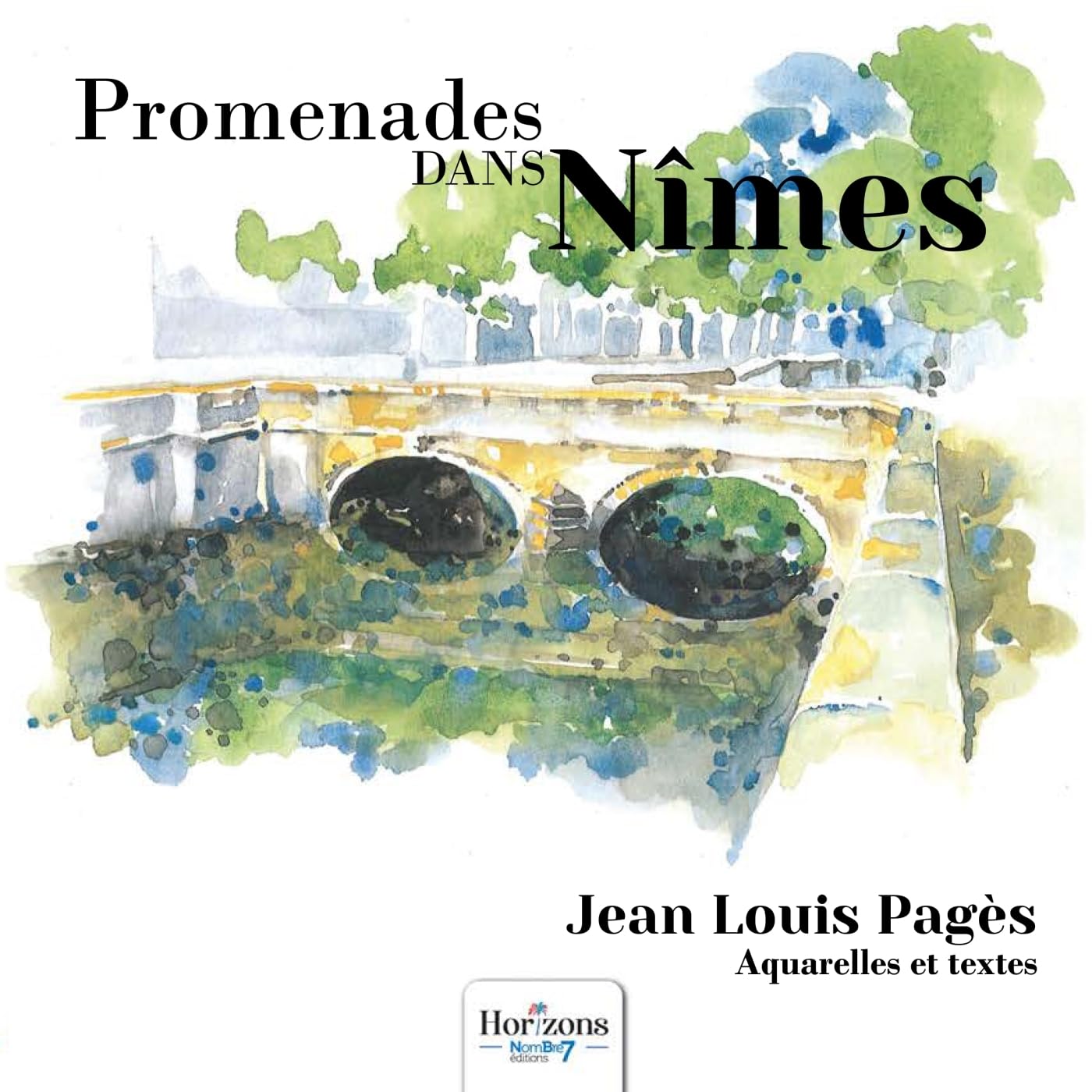 Promenades dans Nîmes book