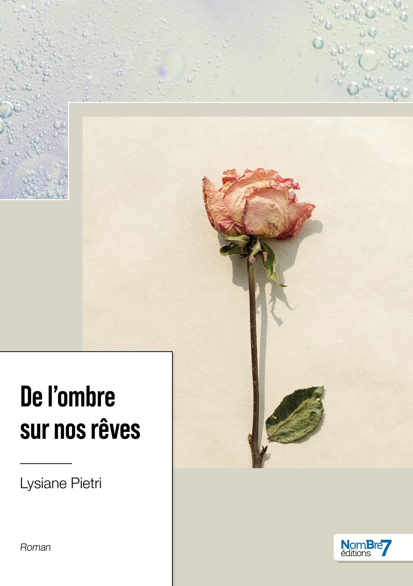De l'ombre sur nos rêves book
