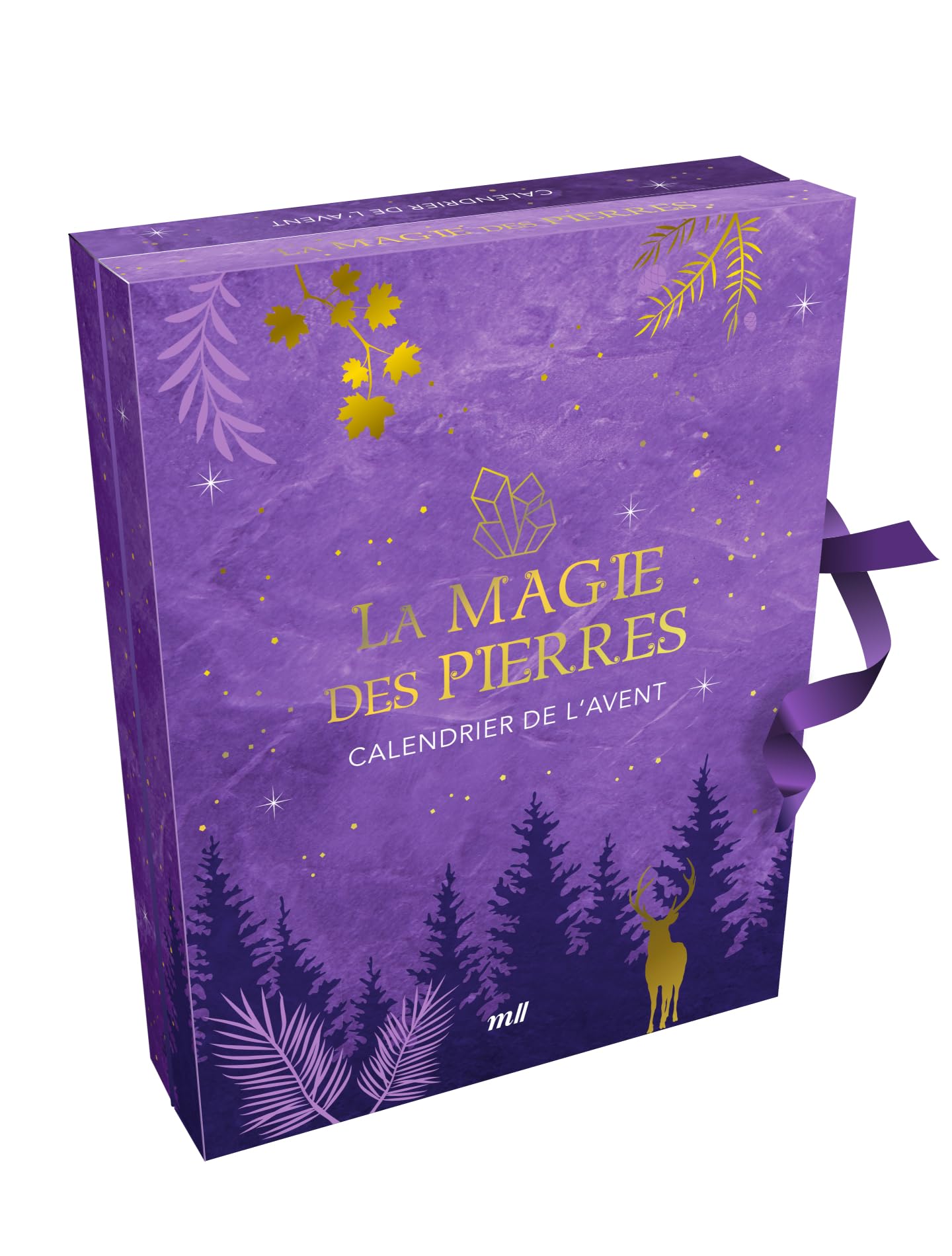 Calendrier de l'Avent - La Magie des pierres: 22 pierres naturelles et des cadeaux surprises pour attendre Noël Learning & Reference