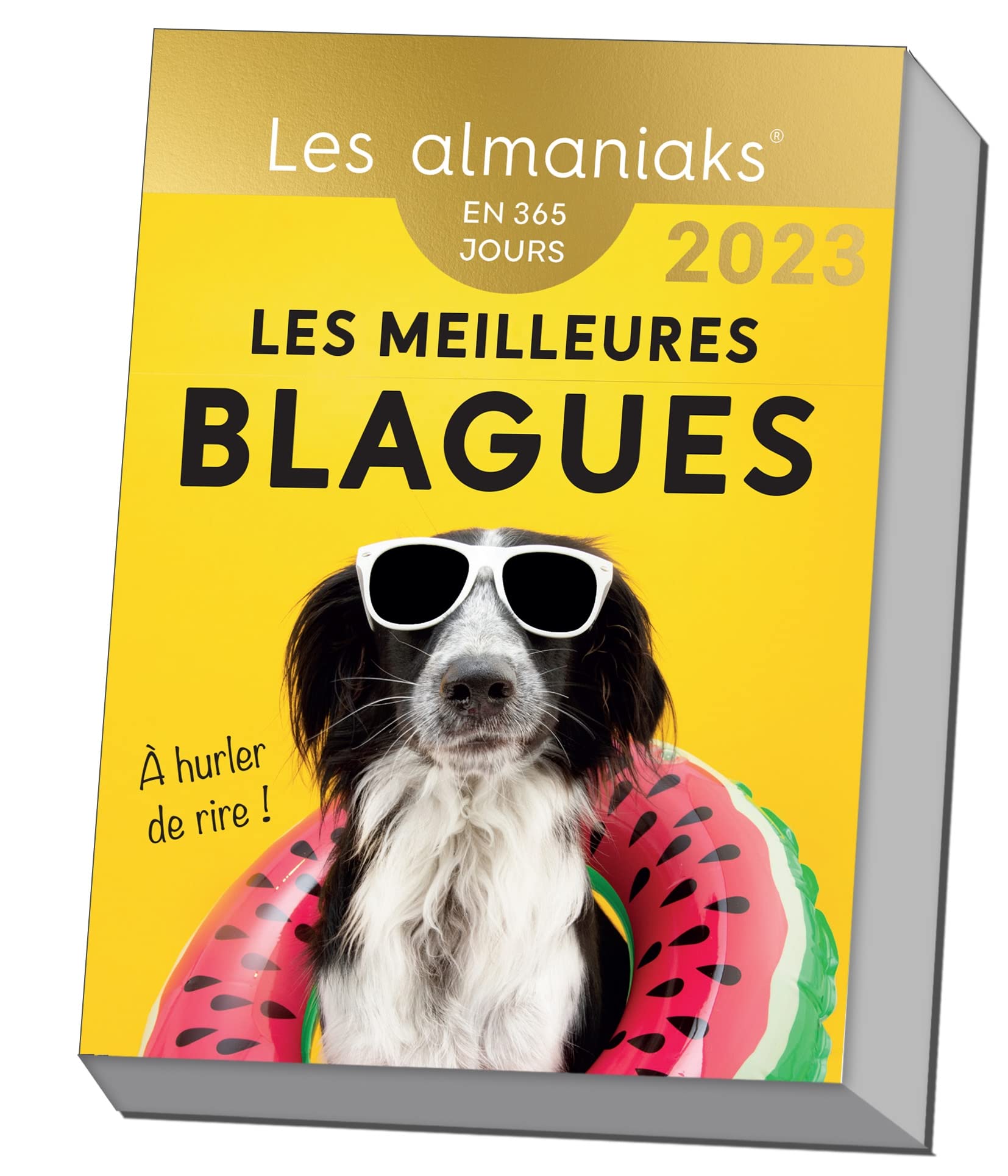 Calendrier Almaniak Les meilleures blagues 2023 : 1 blague par jour book
