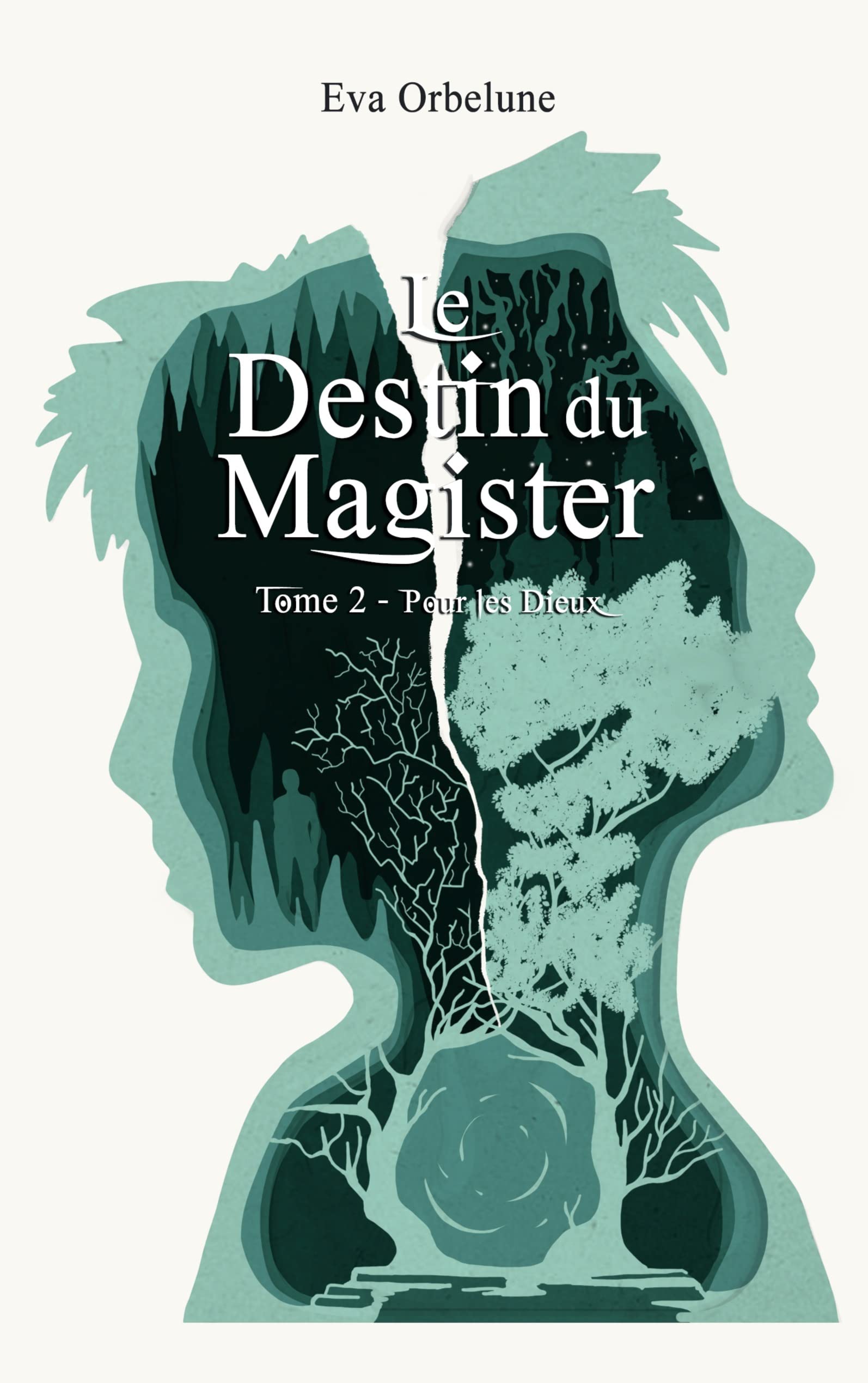 Le Destin du Magister: Pour les Dieux book