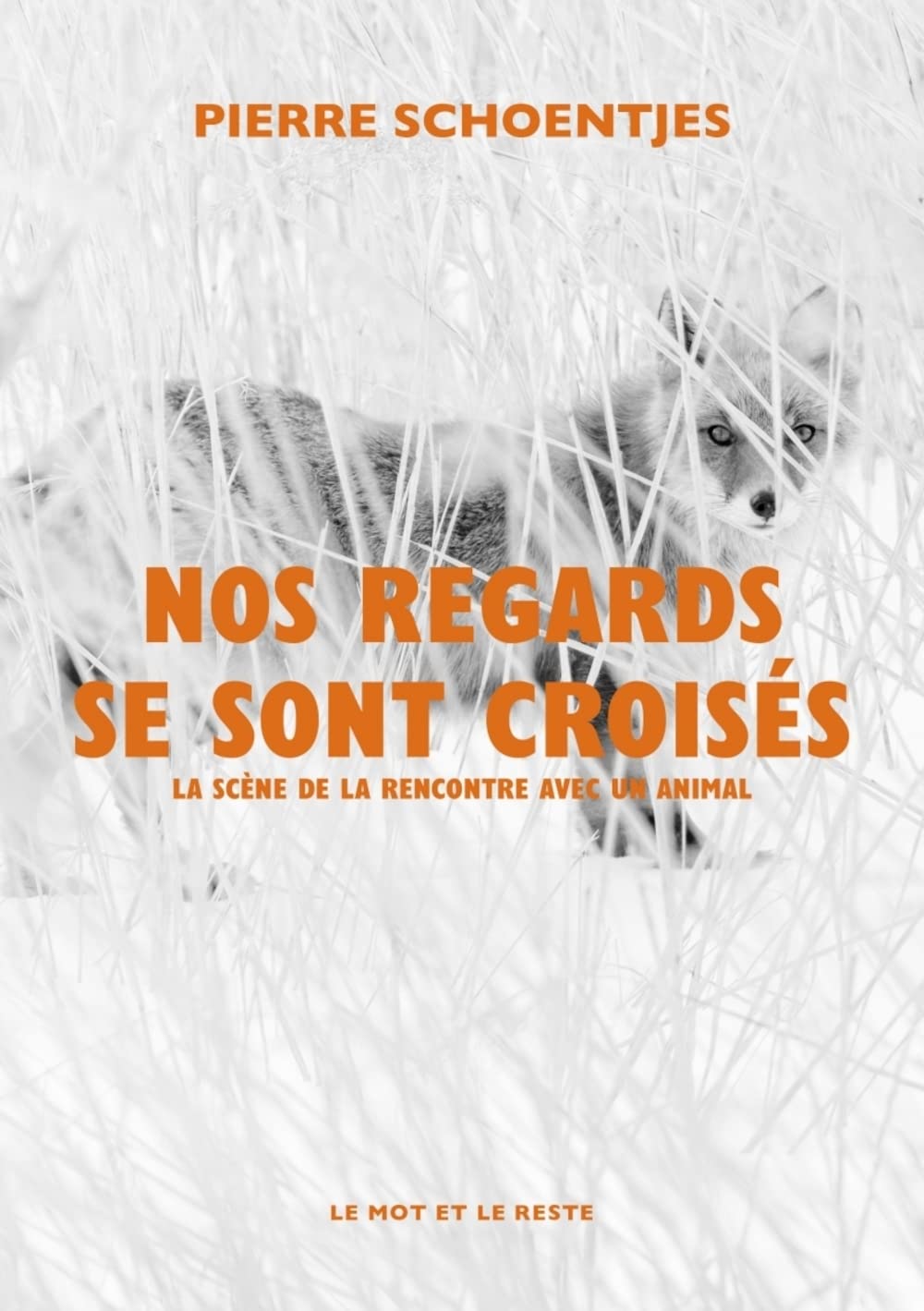 Nos regards se sont croisés: La scène de la rencontre avec un animal book