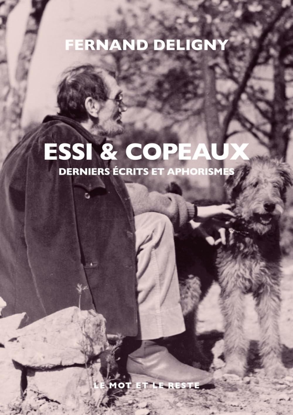 Essi & copeaux: Derniers écrits et aphorisme Philosophy