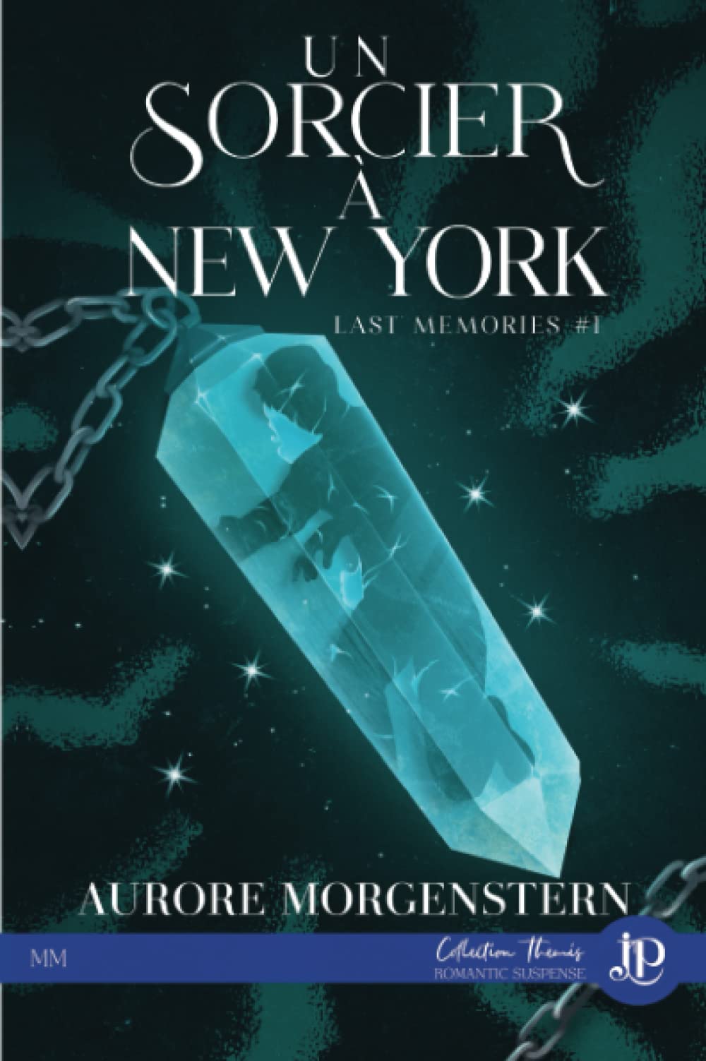 Un sorcier à New York book