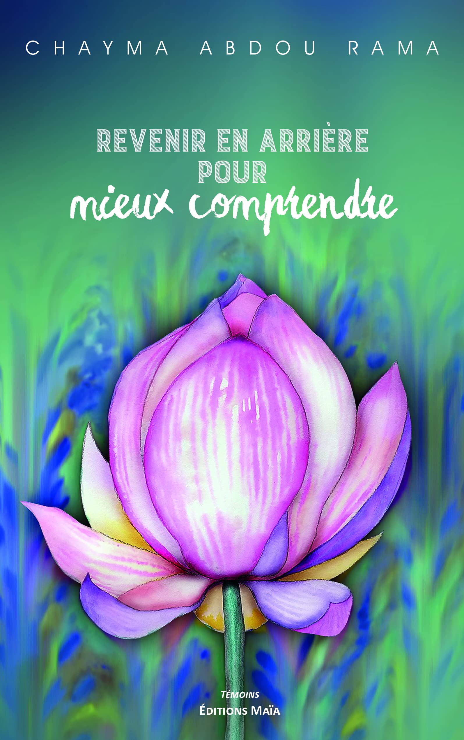 Revenir en arrière pour mieux comprendre book