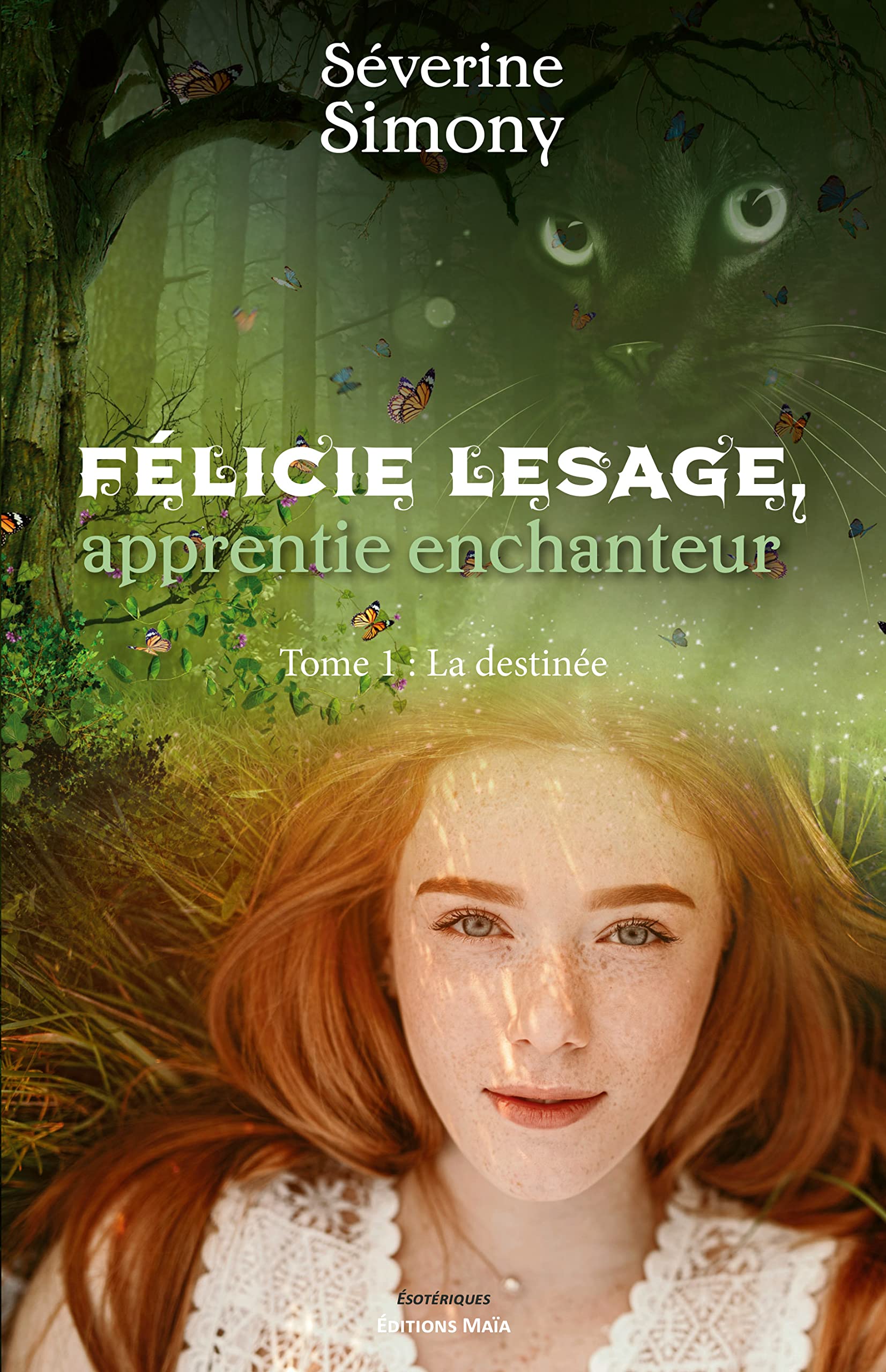 Félicie Lesage, apprentie enchanteur: 1. La destinée book