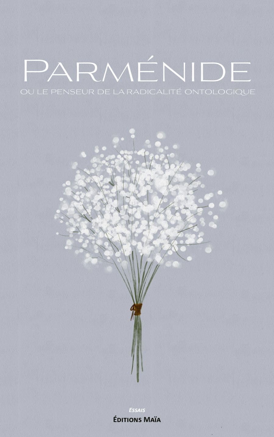 Parménide ou le penseur de la radicalité ontologique book