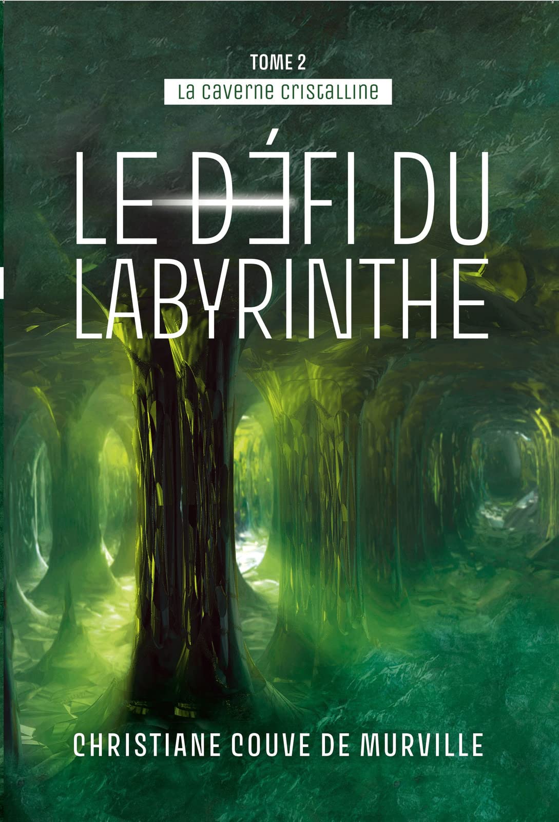 Le défi du labyrinthe book