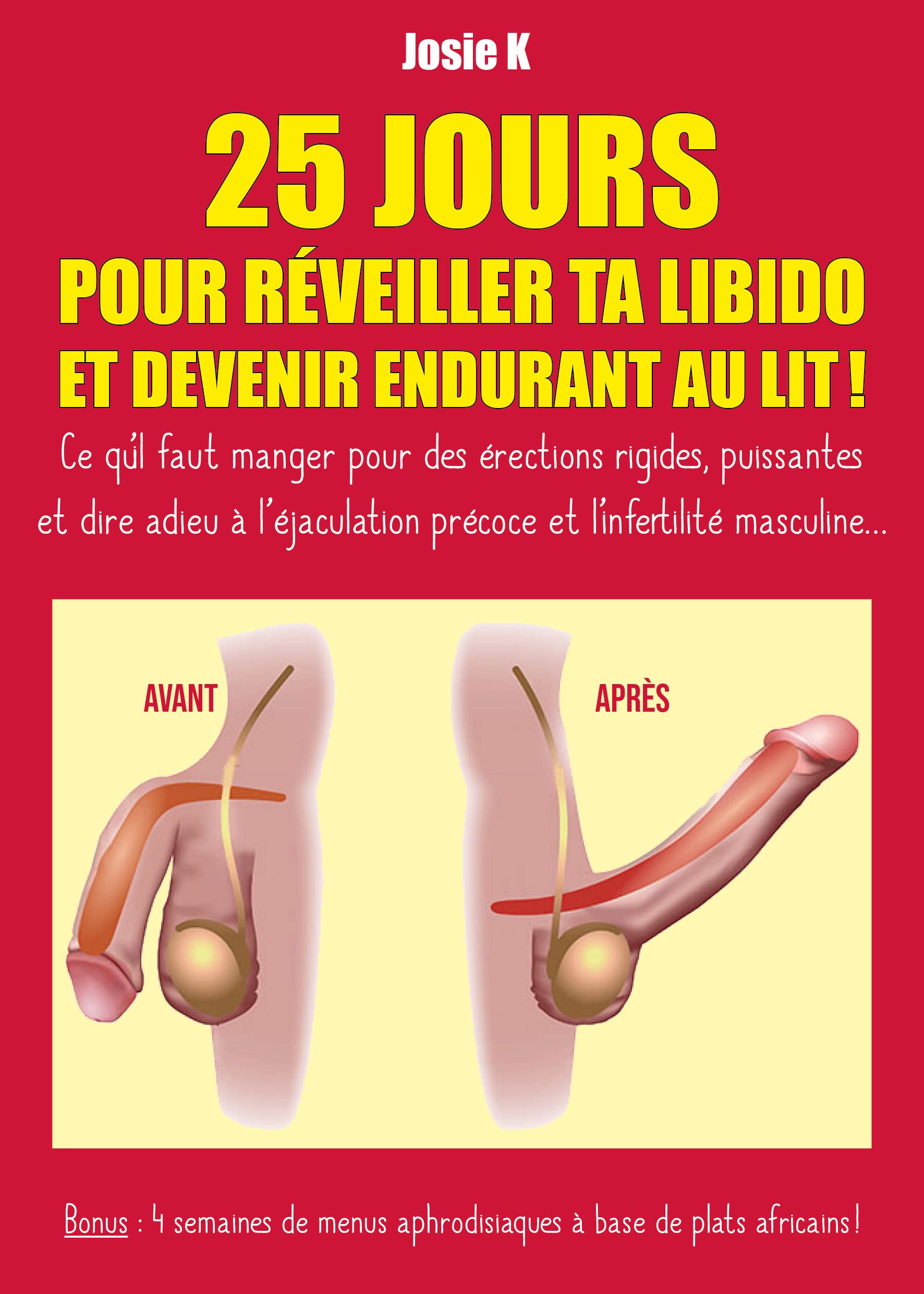 25 jours pour réveiller ta libido et devenir endurant au lit ! book