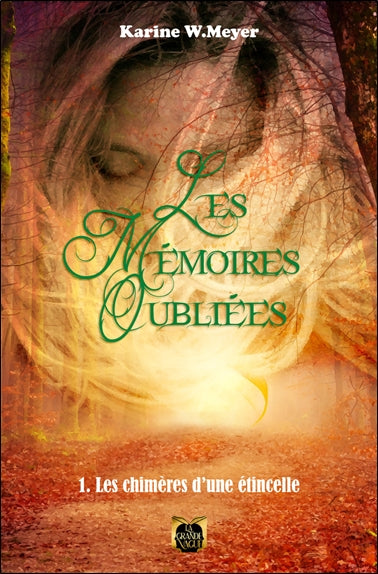 Les Mémoires Oubliées - Tome 1 : Les Chimères d'une étincelle book