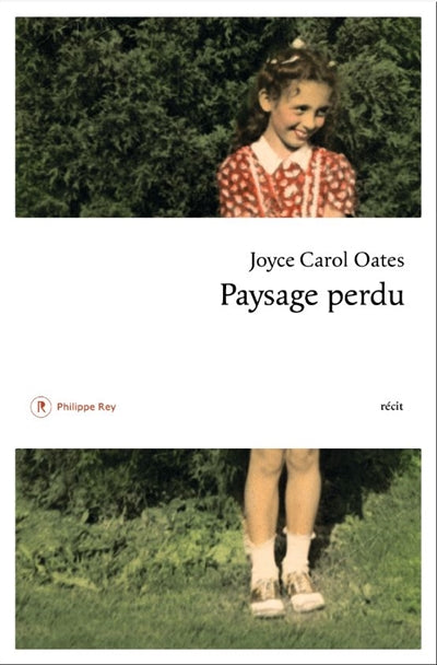 Product Image: Paysage perdu : récit