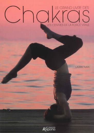 Le grand livre des chakras book