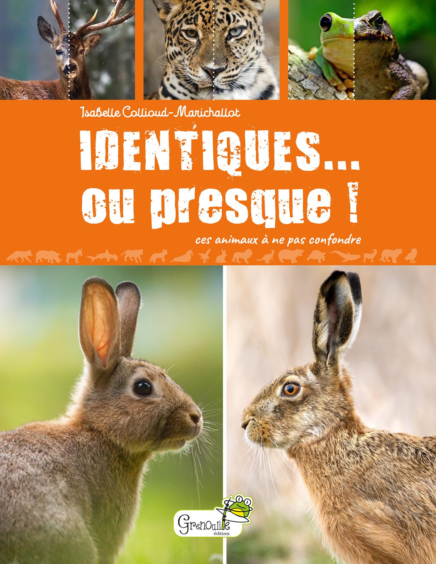 Identiques... ou presque ! Ces animaux à ne pas confondre book