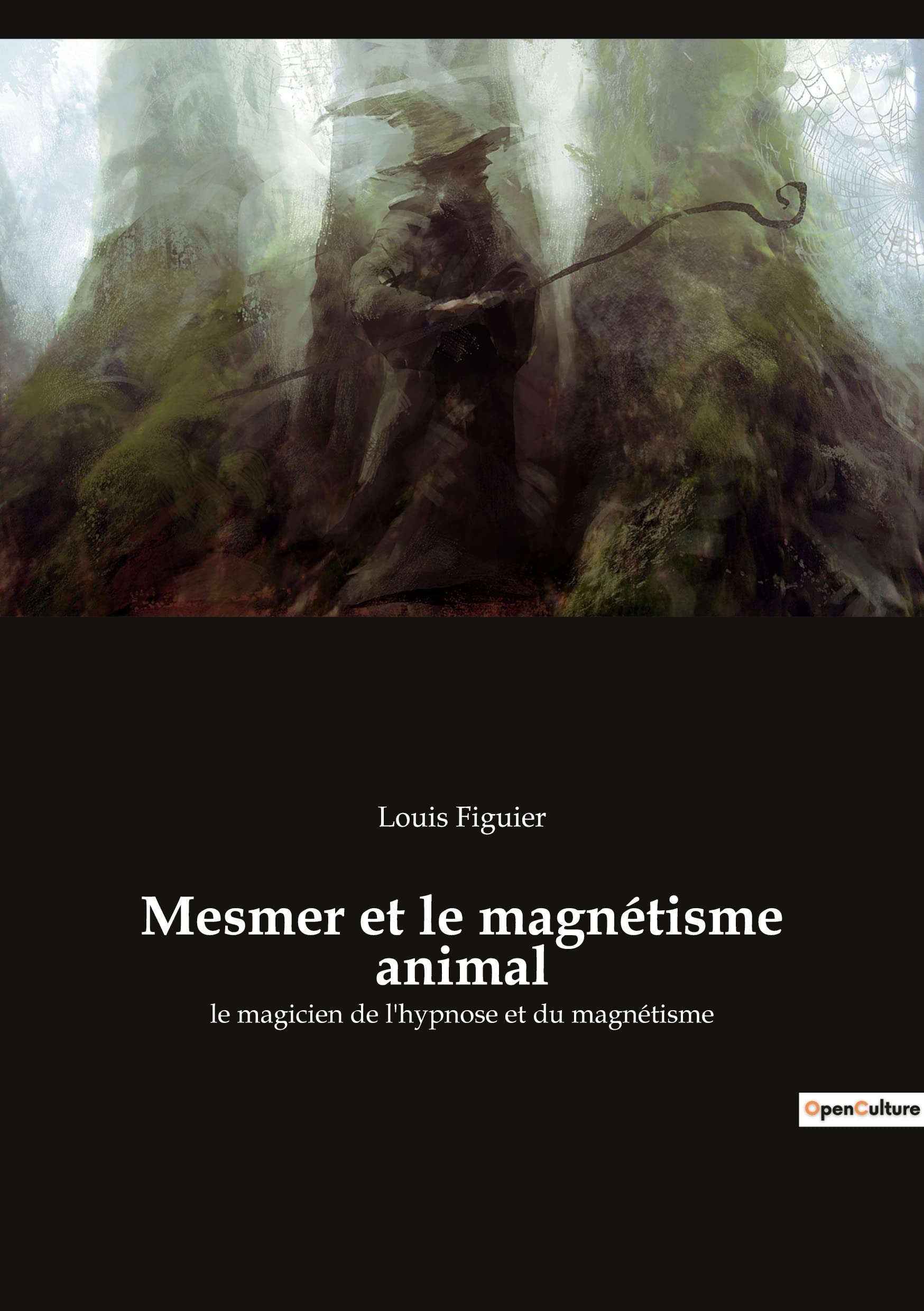 Mesmer et le magnétisme animal: le magicien de l'hypnose et du magnétisme book